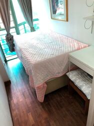 The Sunny Spring (D14), Apartment #555781911
